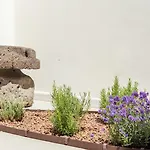 Ausentu
